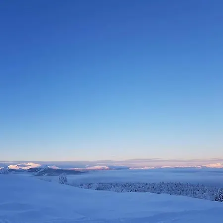 Experience Your Dream Vacation At Gala * Sør-Fron