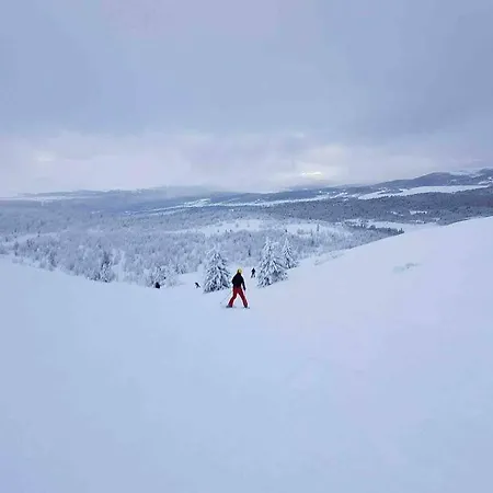 Feriehus Experience Your Dream Vacation At Gala